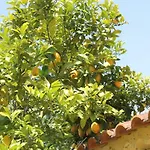 Quinta Do Outeiro Vila Nova de Poiares