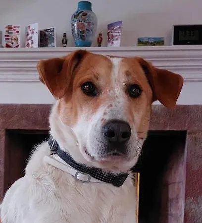 Bed & Breakfast Quinta Do Outeiro Vila Nova de Poiares