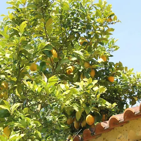 Quinta Do Outeiro Vila Nova de Poiares