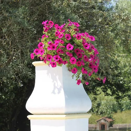 Quinta Do Outeiro Bed & Breakfast *