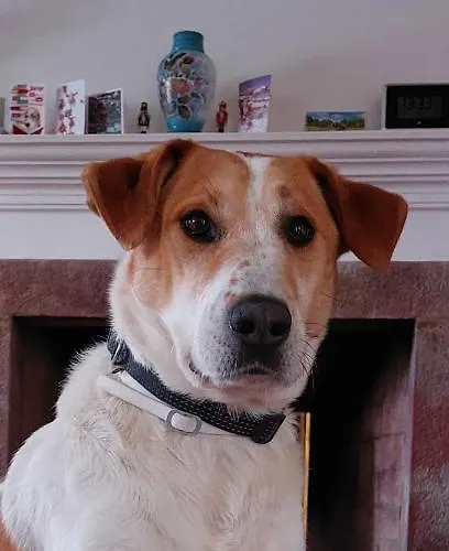 Bed & Breakfast Quinta Do Outeiro Vila Nova de Poiares