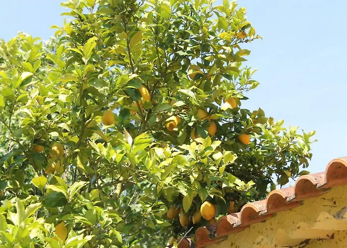 Quinta Do Outeiro Vila Nova de Poiares