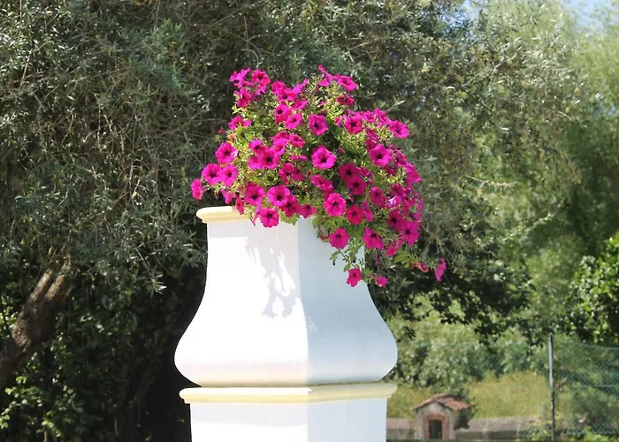 Quinta Do Outeiro Bed & Breakfast *